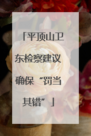 平顶山卫东检察建议确保“罚当其错”
